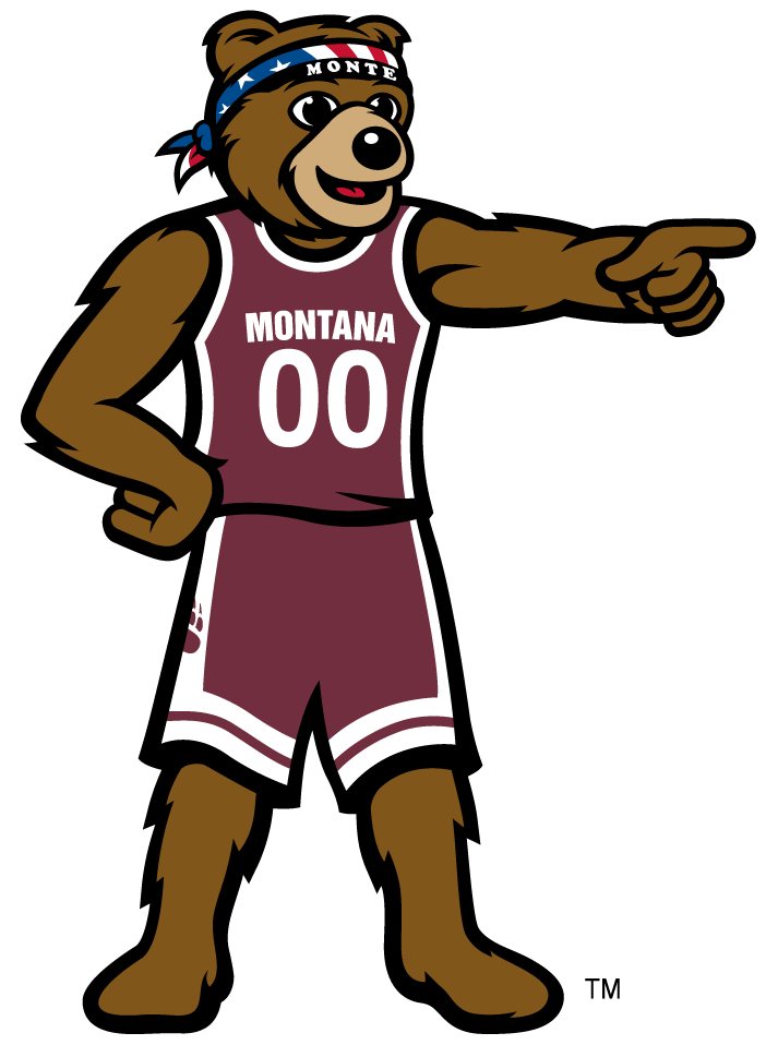 Montana Grizzlies 2010-Pres Mascot Logo v6 DIY iron on transfer (heat transfer)